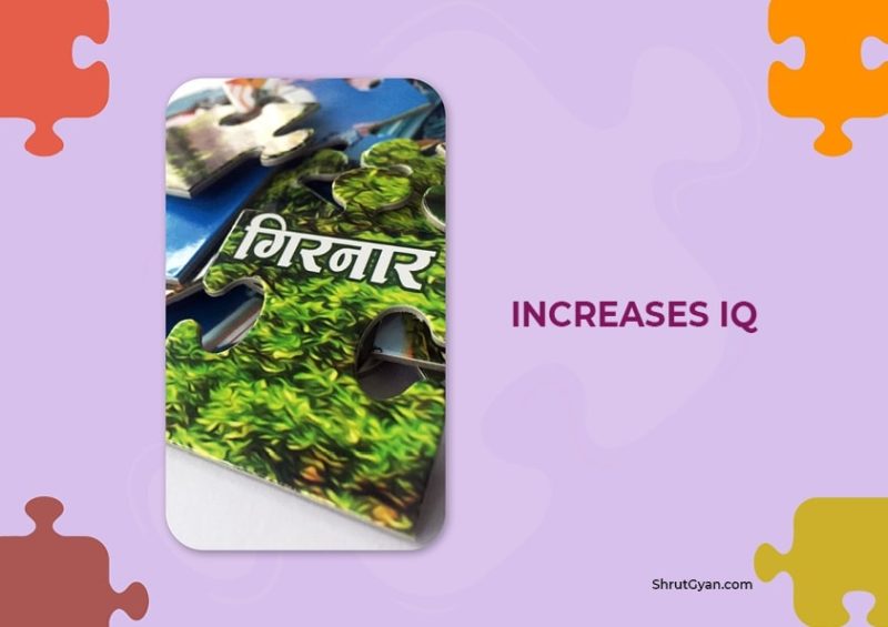 Jain Puzzles Bundle (Pack of 3) 6