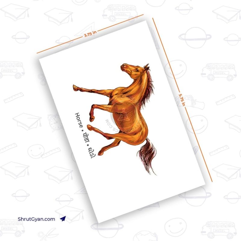 24 Lanchans of Tirthankar (Flashcards) Plain 7