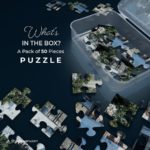 Jain Puzzle – Shree Abu Delwada Tirth 7