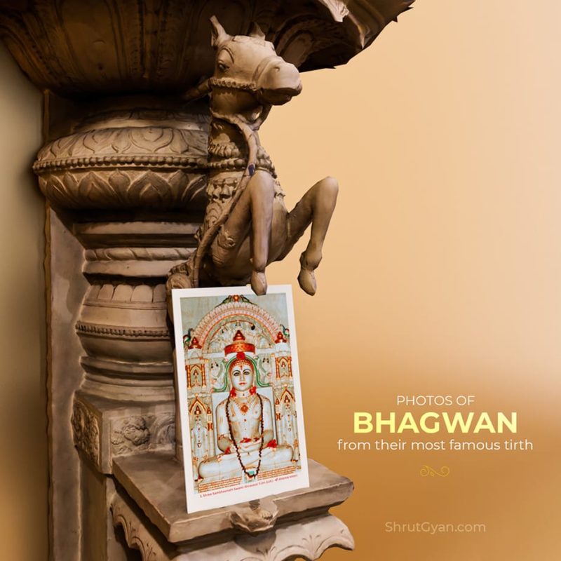 24 Tirthankar Bhagwan Flashcard 4