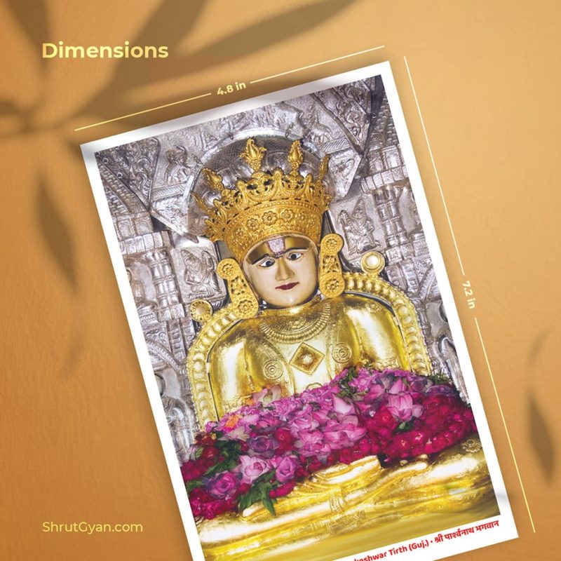 24 Tirthankar Bhagwan Flashcard 6