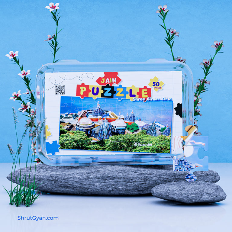 Jain Puzzles Bundle (Pack Of 3) - Shrut Gyan