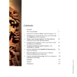 Sarasvati 8