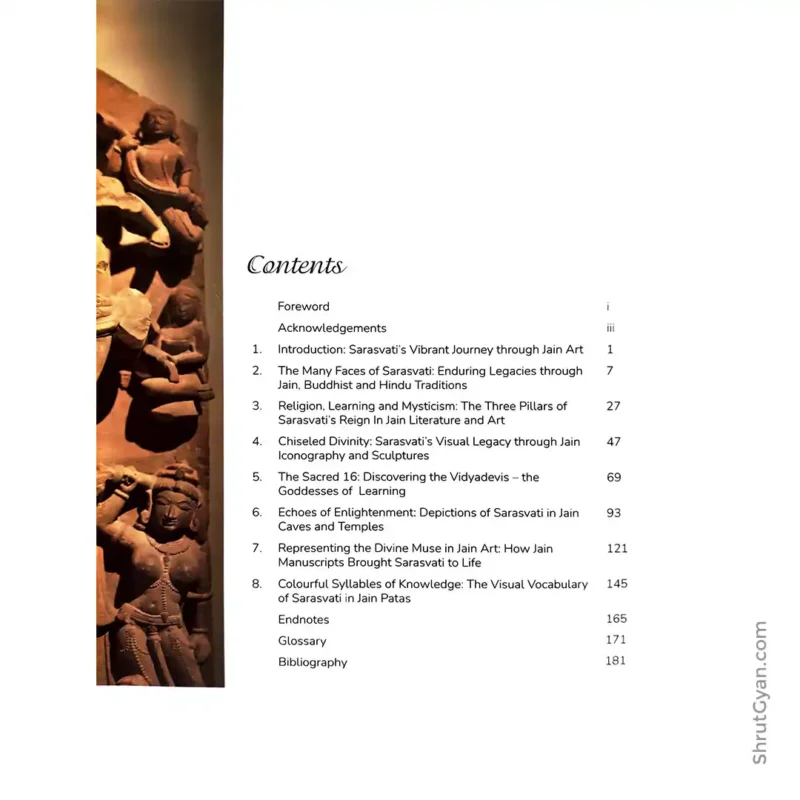 Sarasvati 3