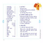 Shree Jain Vivah Sanskar 8