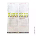 Gujarati Bhasha Abhiyan – Mane Ghuto 6