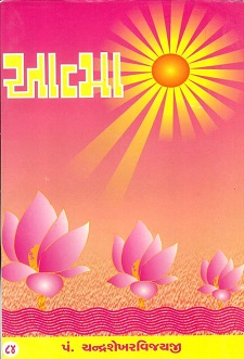 Cover of Aatma