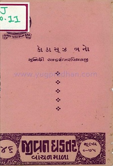 Cover of Kothasuz Bano