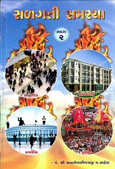 Cover of Salagti Samasyao Part-2
