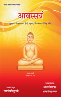 Cover of Avassayam