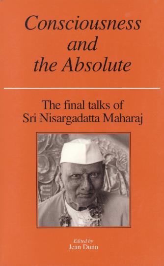 Cover of Consciousness and the Absolute