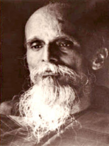 Cover of The Book of Ayurveda and Astrology (Volume 8)