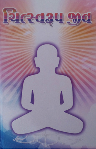 Cover of Chitsvaroop Jiv