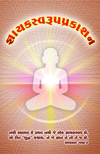 Cover of Gnayak Svarup Prakashan