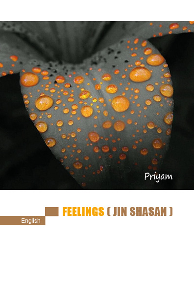 Cover of Feelings