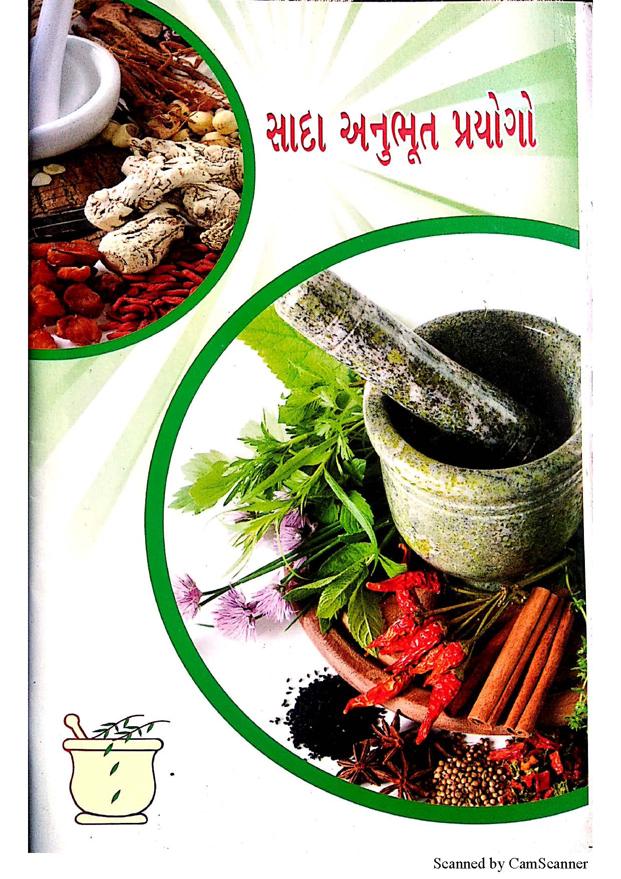 Cover of Sadha Anubhut Prayogo
