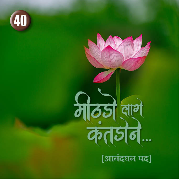 Cover of Mithdo Lage