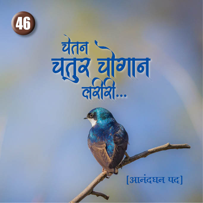 Cover of Chetan Chatur