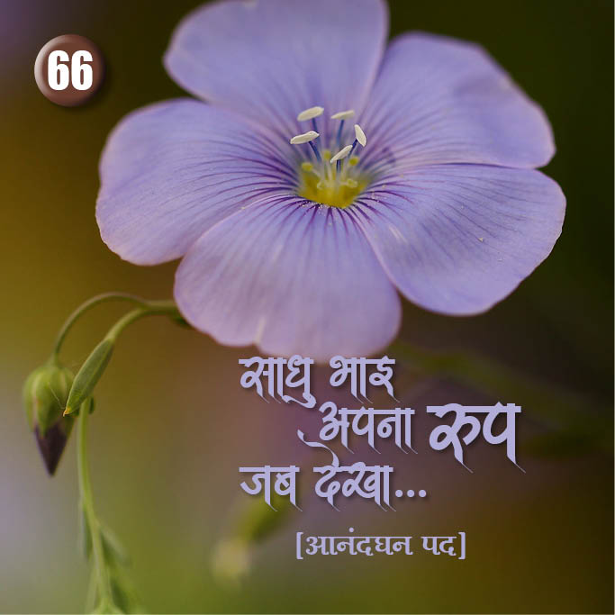 Cover of Sadhubhai Apana
