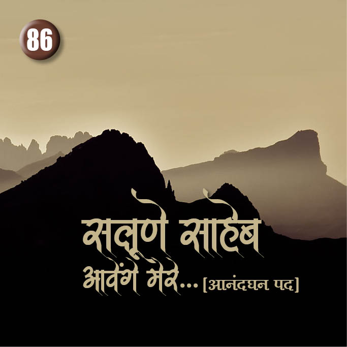 Cover of Salune Saheb