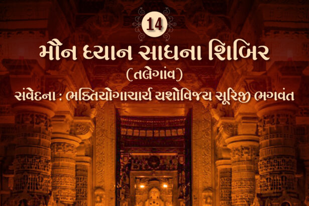 Maun Dhyan Sadhana Shibir 14 - Samvedana 5