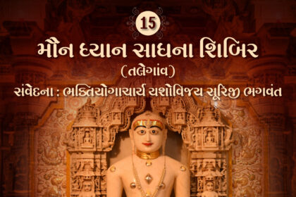 Maun Dhyan Sadhana Shibir 15 - Samvedana 2