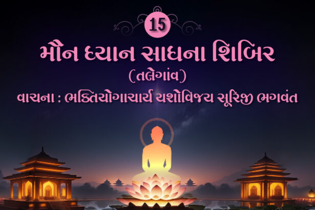 Maun Dhyan Sadhana Shibir 15 - Vanchan 3