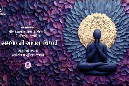 Maun Dhyan Sadhana Shibir 01 - Vachana - 3