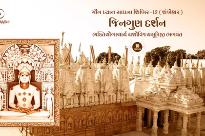 Maun Dhyan Sadhana Shibir 12 - Vanchan 10