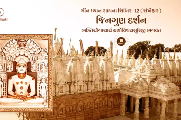 Maun Dhyan Sadhana Shibir 12 - Vanchan 10