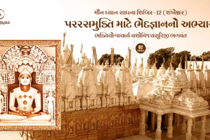 Maun Dhyan Sadhana Shibir 12 - Vanchan 2