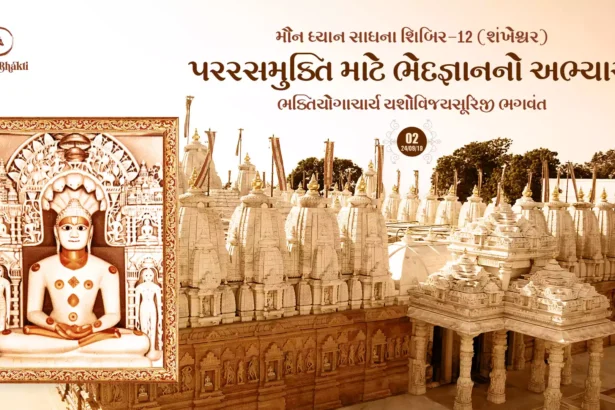 Maun Dhyan Sadhana Shibir 12 - Vanchan 2