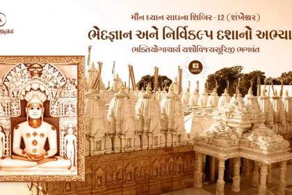 Maun Dhyan Sadhana Shibir 12 - Vanchan 3