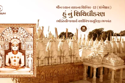 Maun Dhyan Sadhana Shibir 12 - Vanchan 4