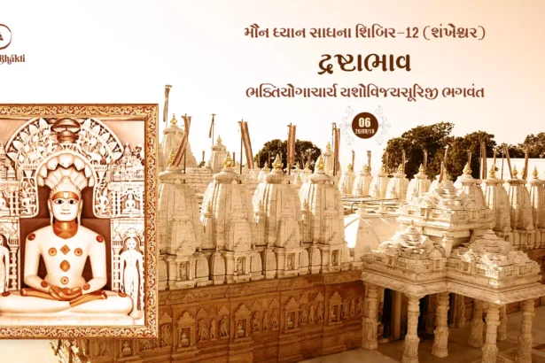 Maun Dhyan Sadhana Shibir 12 - Vanchan 6