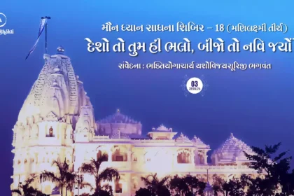 Maun Dhyan Sadhana Shibir 18 - Samvedana 3