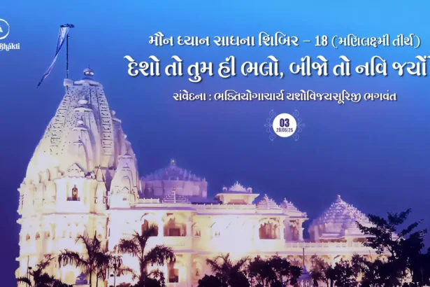 Maun Dhyan Sadhana Shibir 18 - Samvedana 3