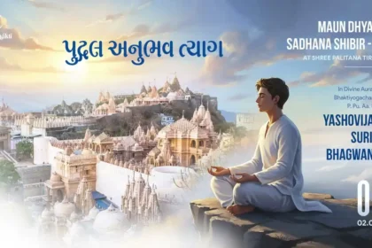 Maun Dhyan Sadhana Shibir 08 - Vachana - 4