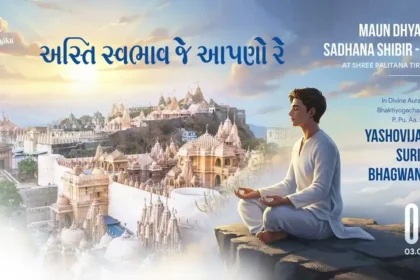 Maun Dhyan Sadhana Shibir 08 - Vachana - 5