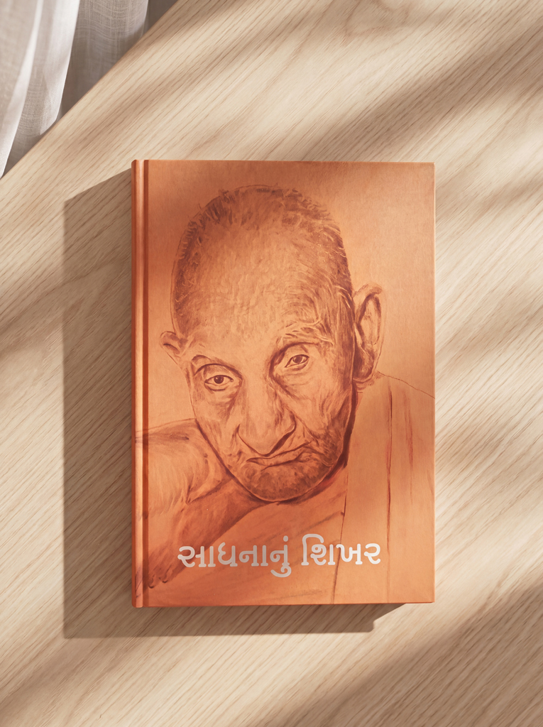 Sadhananu Shikhar - Image 3